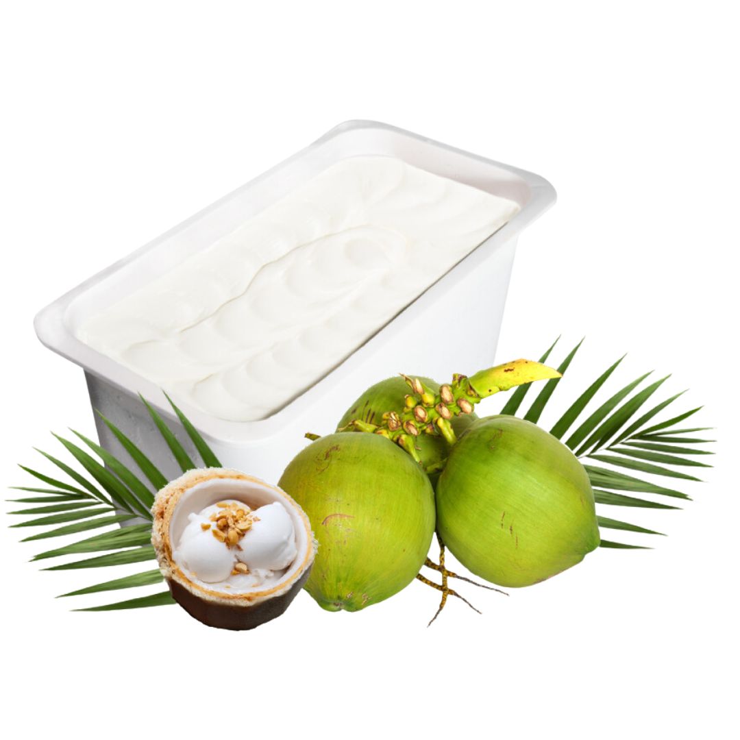 6 litre ice cream tub special